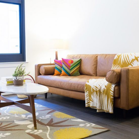 Apollo_Int_Model_LivingRoom_Dec2016-min_SQUARE