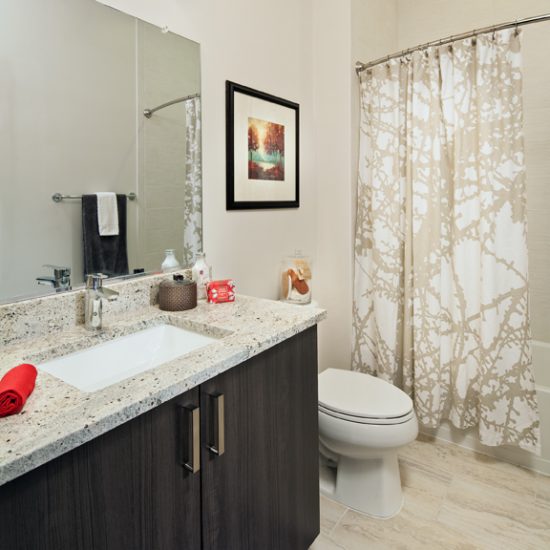 Grayson Flats Staged Kitchen-Bath